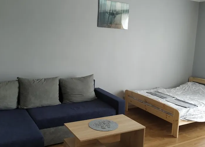 3-go Maja كارتوزي