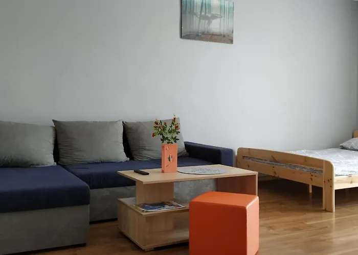 3-go Maja * كارتوزي